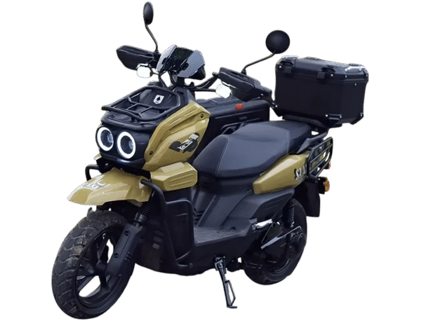 <font dir="auto" style="vertical-align: inherit;"><font dir="auto" style="vertical-align: inherit;">Hogar</font></font> motocicleta eléctrica 2000 watts hetzu tank